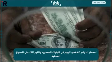 أسعار الدولار تنخفض اليوم في البنوك المصرية وتأثير ذلك على السوق المحلية